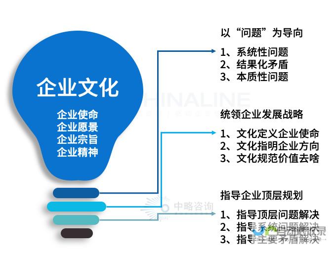 提升品牌形象与用户体验的网站设计方案